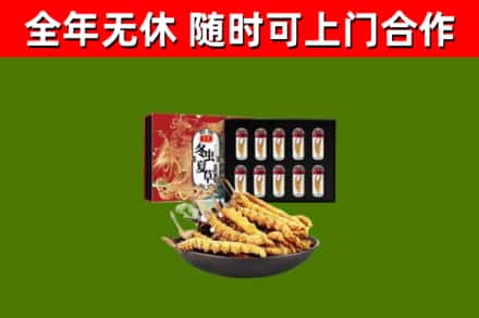 长乐回收冬虫夏草价格