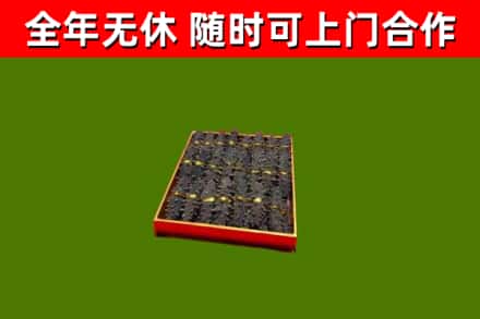 长乐回收海参